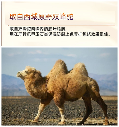 牙骨角保养油骆驼油核桃猛犸牙保湿防裂文玩牦牛骨金刚玉化包浆膏 - 图0