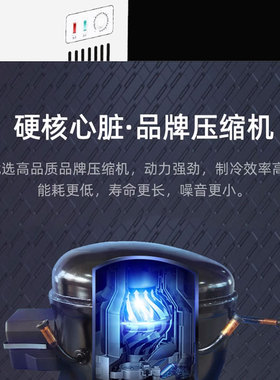 冰柜商用大容量冰箱家用冷藏保鲜冷冻两用卧式冷柜单双温雪柜