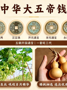 葫芦挂件门口入户门对门大五帝钱门口天然客厅开口红色福新房入住