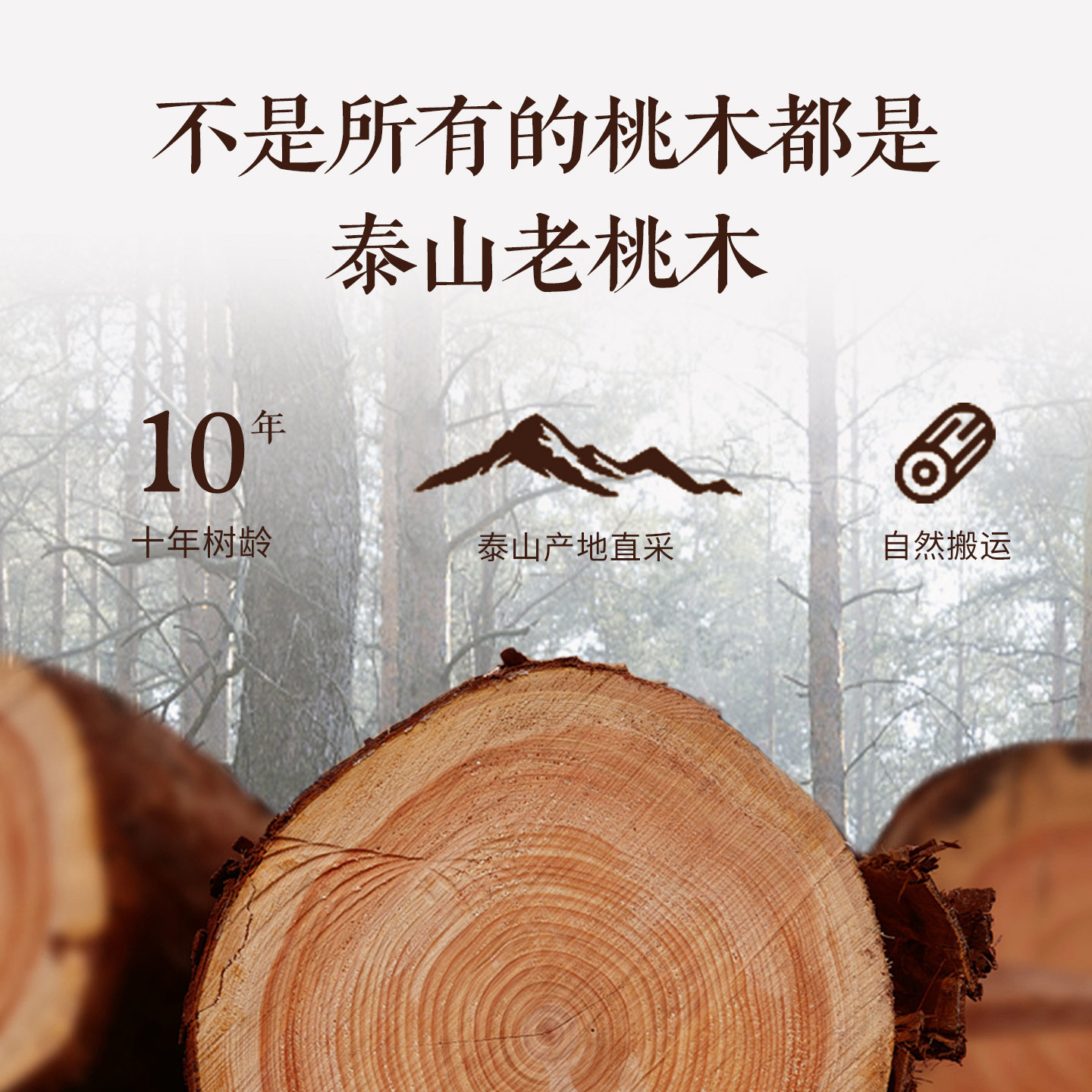 天然老桃木手串男女款手链原木盘玩木质文玩念珠儿童正宗天然,淘宝优惠券,粉丝福利购,淘宝优惠卷