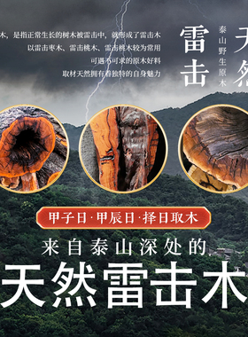 天然雷击枣木山海镇摆件浮雕加厚整原木室内室外乔迁家居木雕装饰