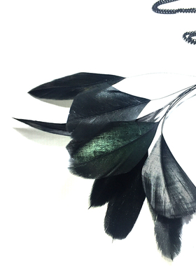 简约项链黑鸟羽毛毛衣链女