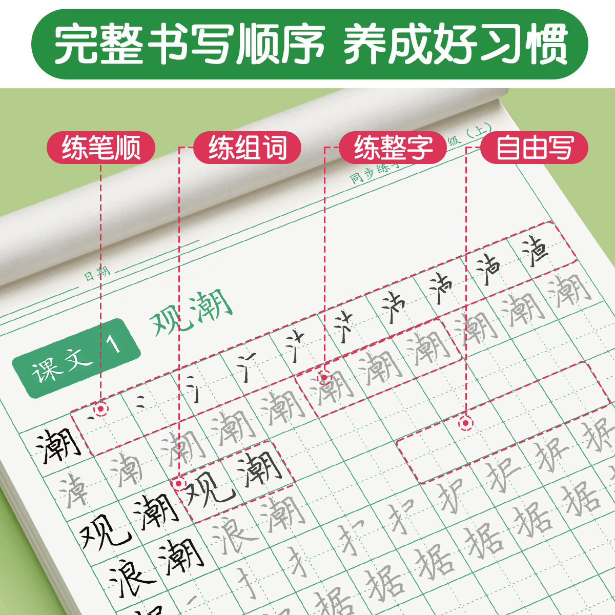 四年级练字帖上册下册每日一练语文同步字帖人教版小学生儿童专用五年级六年级钢笔书写楷书硬笔书法练字本写字生字组词描红练习