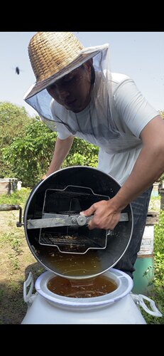2025年荔枝蜜   易结晶蜂蜜 蜂场直销 蜂农小伟 - 图0