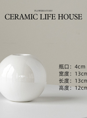 SuMai珠光白色圆球形陶瓷花瓶插花摆件高级感小众家居装饰花瓶