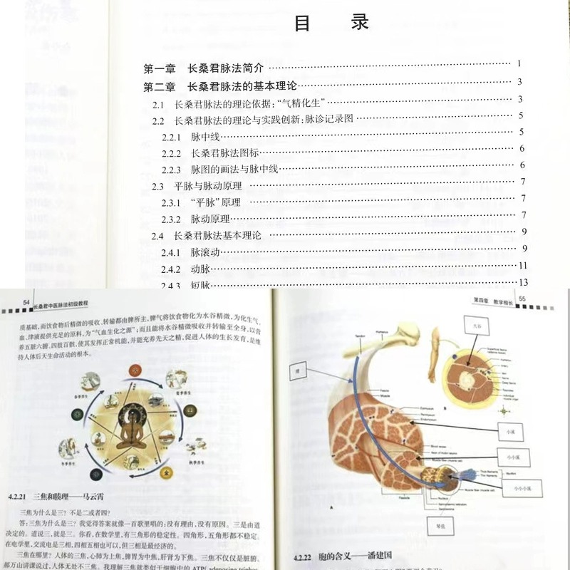 长桑君中医脉法初级教程 中医书籍 中医基础理论数据健康衍生传统文化脉诊 中医临床诊疗指南脉诊脉诊入门零基础自学书籍 正版书籍 - 图1