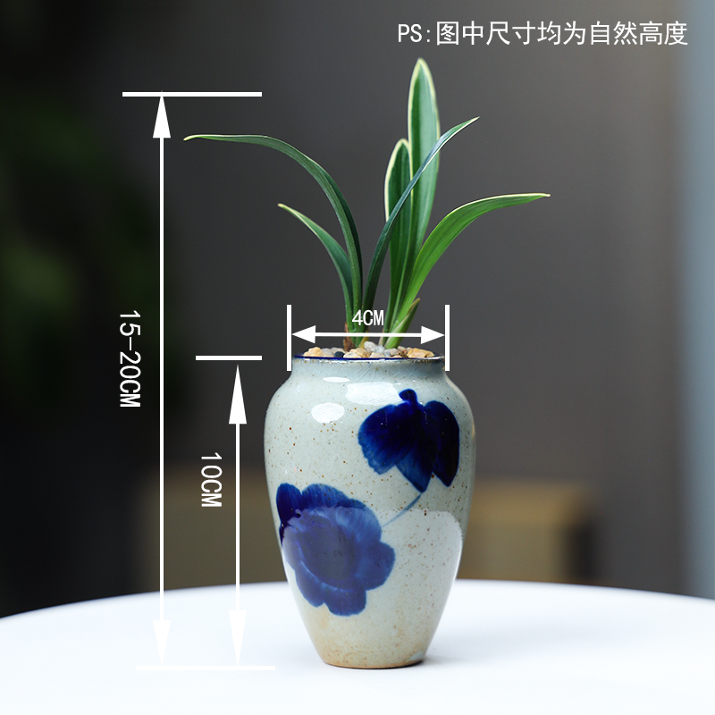 矮种建兰青花盆掌中宝陶瓷绿植四季金边兰花盆冰裂透气桌面小盆栽-图1