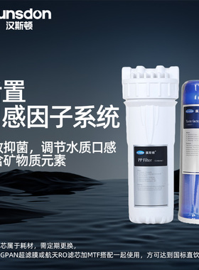 汉斯顿净水器家用直饮通用滤芯