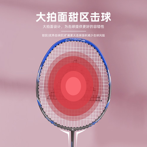 兰威羽毛球拍双拍耐用型儿童学生全碳素超轻单拍正品专业拍子套装 - 图0