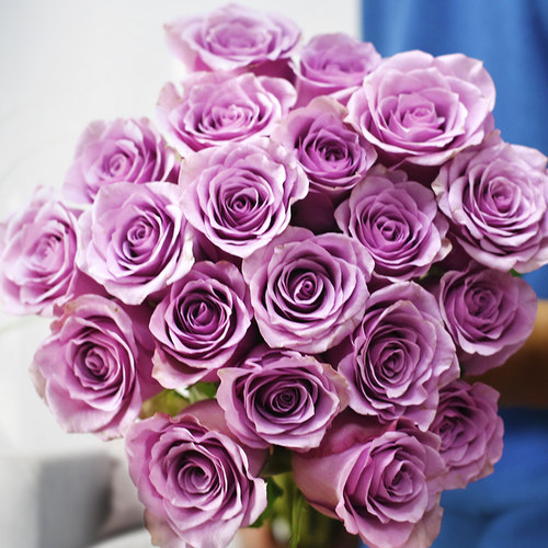 云南昆明鲜花基地直发红玫瑰花水养百合花束鲜切花向日葵花材批发 - 图2