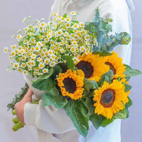 向日葵云南基地直发鲜花套餐每日向日葵鲜花养护套餐推荐家庭水养 - 图2