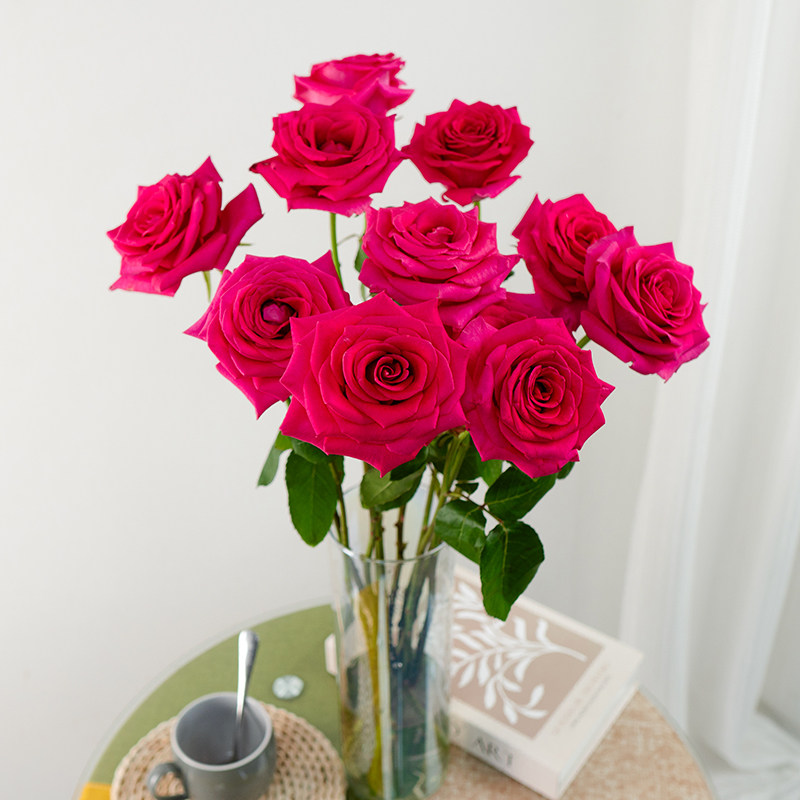 骄傲白雪山玫瑰鲜花云南昆明基地现采直发家庭水养鲜切花高原红,淘宝优惠券,粉丝福利购,淘宝优惠卷