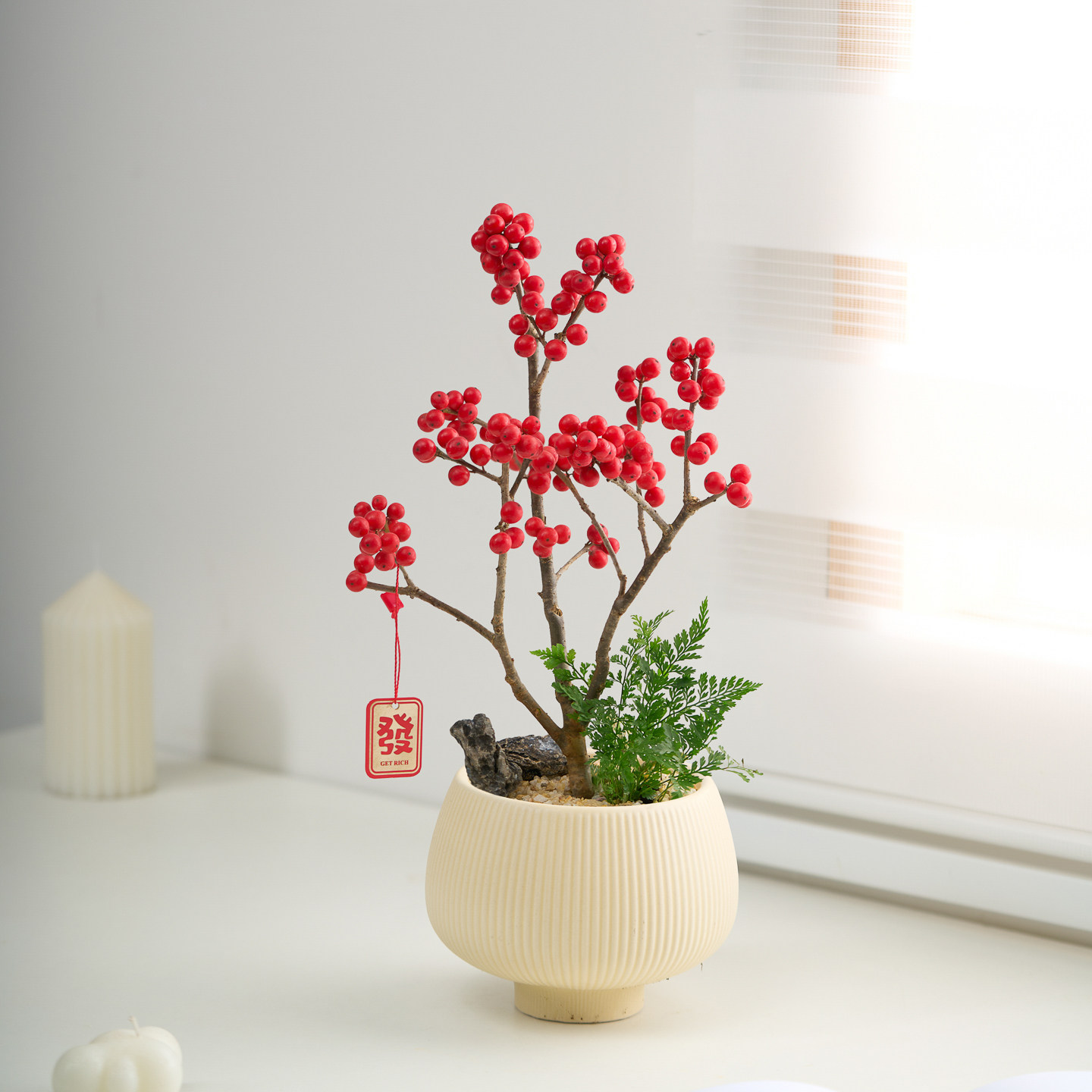 北美冬青小盆栽春节年宵花带红果鲜切室内玄关招财摆件送礼盆景,淘宝优惠券,粉丝福利购,淘宝优惠卷