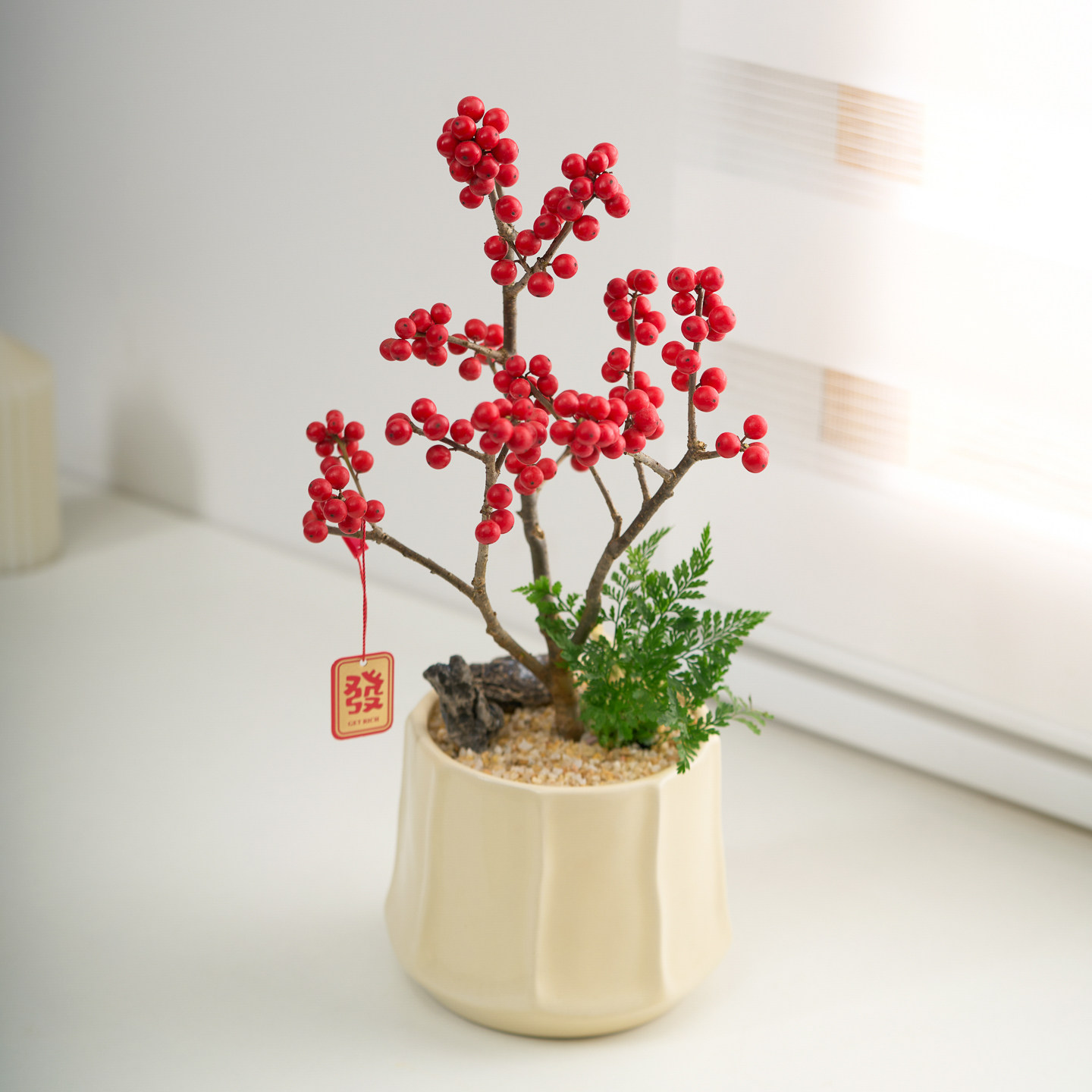 北美冬青小盆栽春节年宵花带红果鲜切室内玄关招财摆件送礼盆景,淘宝优惠券,粉丝福利购,淘宝优惠卷