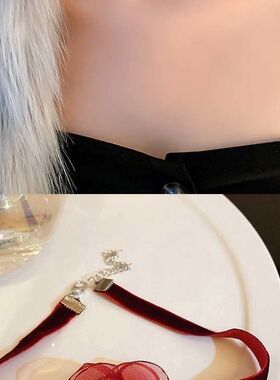 网纱花朵choker锁骨链2025新款项链女ins风简约个性设计感颈链