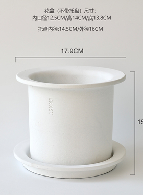简约白色创意蝴蝶兰花盆带托盘