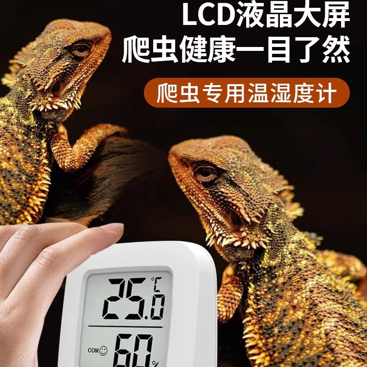 爬宠温湿度计孵化养殖爬虫宠物蛇守宫角蛙龟变色龙磁吸温度计迷你 - 图0