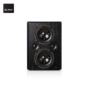 CAV  DH-20 壁挂音箱  DL定制音箱