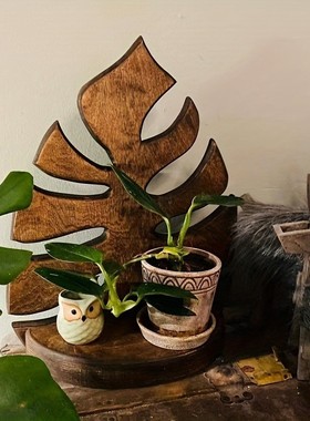 中古风木质龟背竹叶隔板置物架