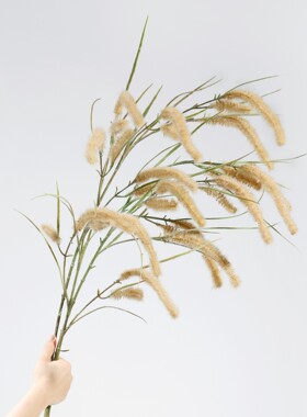仿真绿植狗尾巴草 芦苇花稻谷麦穗干花客厅橱窗装饰花艺复古摆设