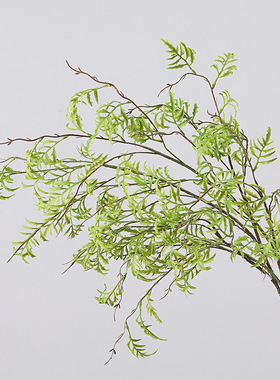 仿真海金沙蕨草软胶植物墙