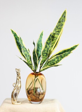 仿真单支黄边虎皮兰 热带植物人造叶子摆件 跨境仿真虎皮兰