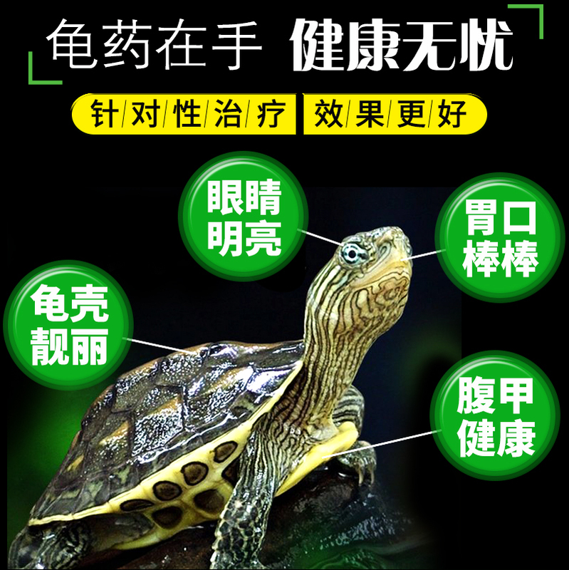 乌龟肺炎药治不愿下水双目紧闭眼圈发白张口呼吸打嗝嘴角白沫龟药-图0