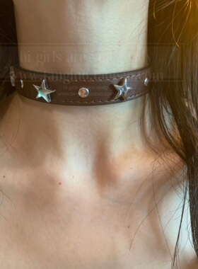 vintage复古棕色星星choker