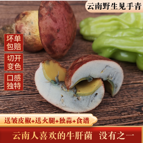现货新鲜红葱牛肝菌500g黑黄白葱兰茂云南野生菌子变色蘑菇见手青 - 图2