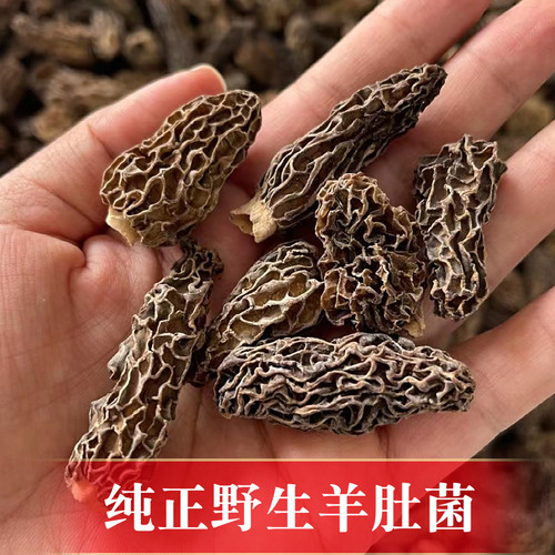 野生羊肚菌干货50g黑羊肚蘑全剪柄尖角羊肚菇云南特产野生菌包邮 - 图1