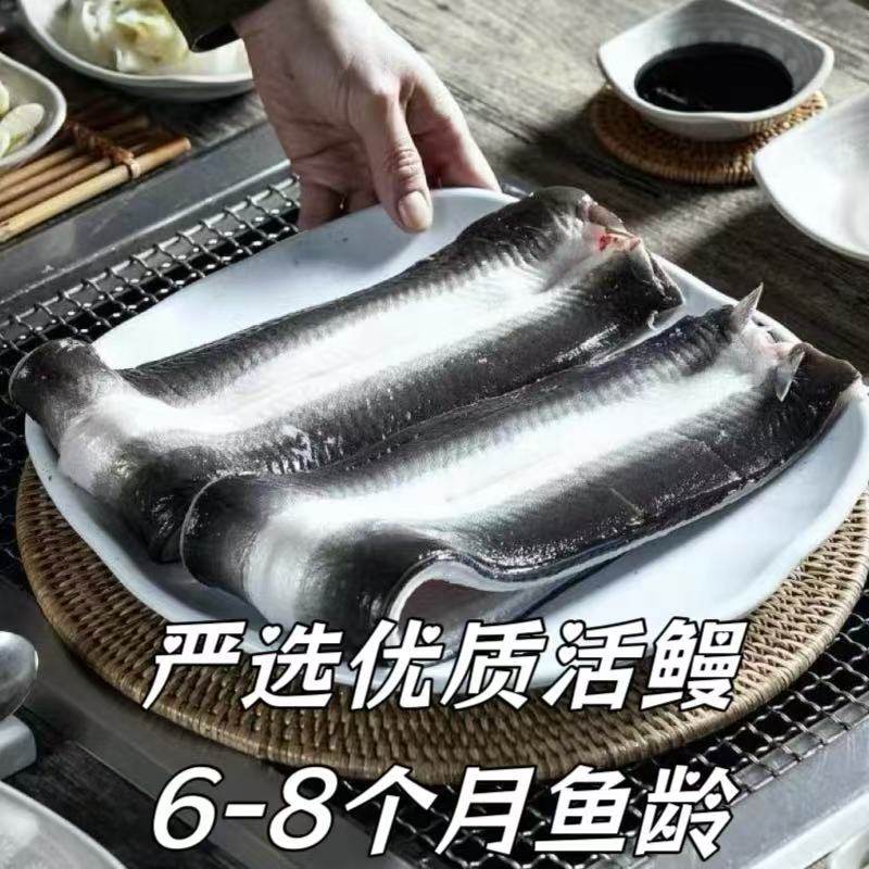鳗鱼活杀生鳗片整条速冻鳗鱼片日韩式烤肉料理店商用鳗鱼整箱10kg,淘宝优惠券,粉丝福利购,淘宝优惠卷