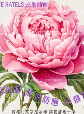 粉红牡丹花开富贵抠图自贴纸家居贴花餐厅房间门贴墙上冰箱贴装饰