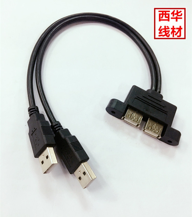 usb主板线 usb2公2母延长线 USB并排2口延长线usb2口公对母数据线 - 图0