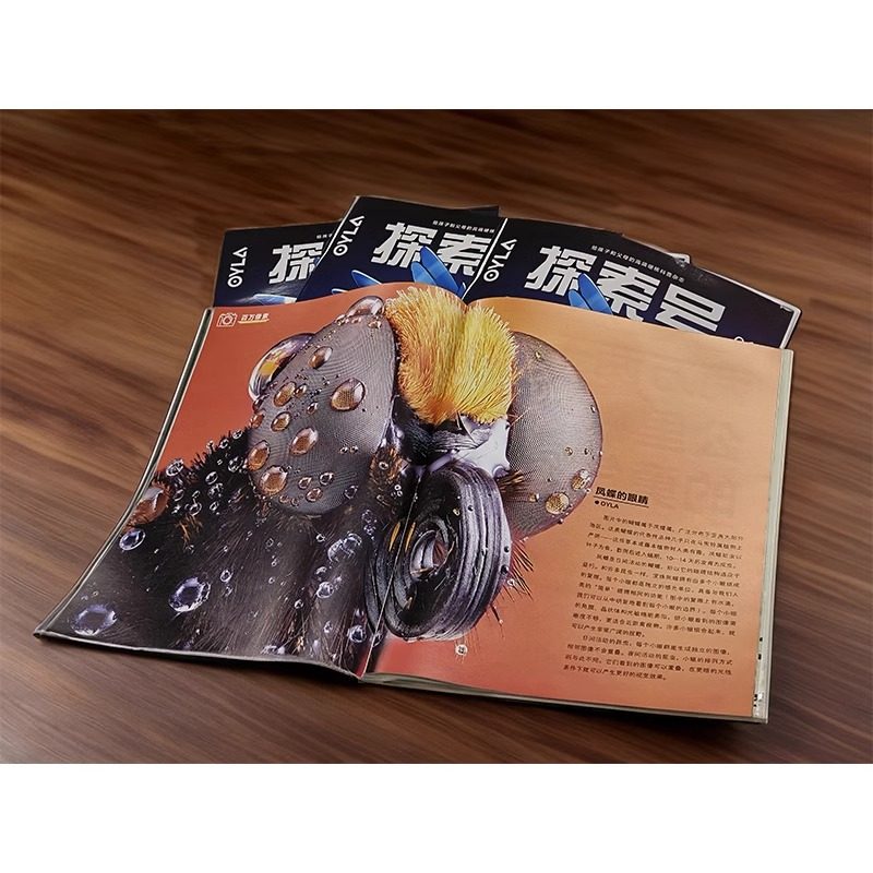 探索号·少年科学院杂志【2025年1-12月全年/半年/单月订阅 共36期】赠儿童单肩斜挎背包 8-15岁青少年科普期刊 天体物理科学杂志,淘宝优惠券,粉丝福利购,淘宝优惠卷