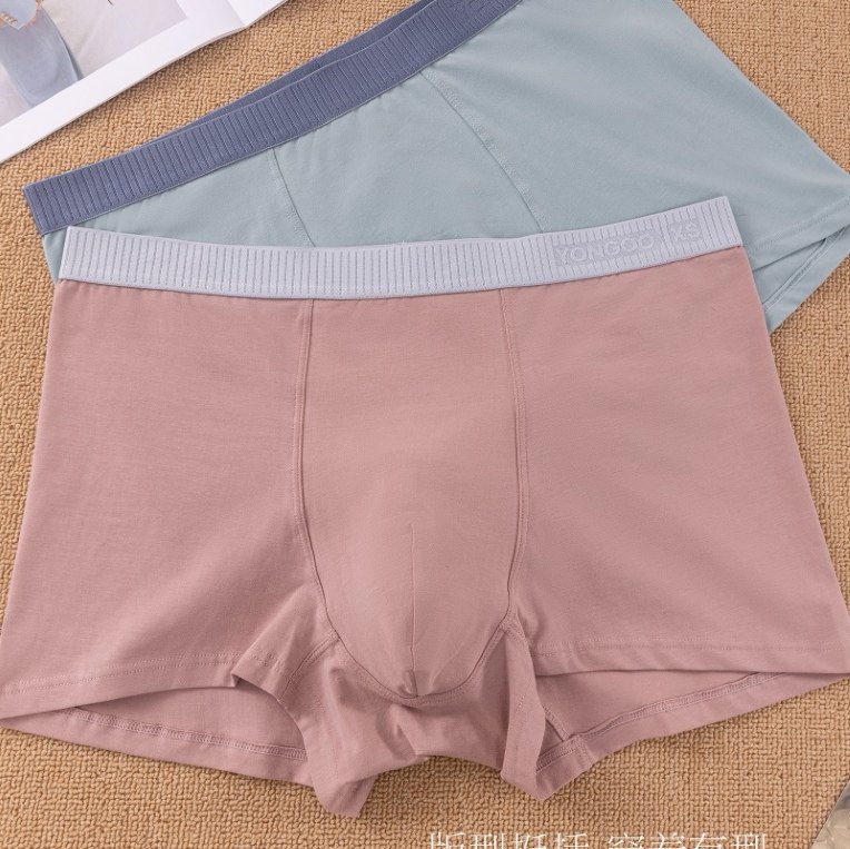 倩黛男士内裤纯棉抗菌男生四角短裤透气大码青少年运动平角裤,淘宝优惠券,粉丝福利购,淘宝优惠卷