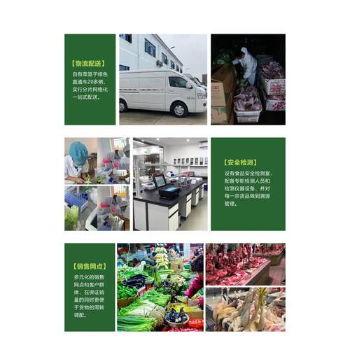餐饮生鲜食材配送农副产品蔬菜配送团体餐饮配送画册图册设计印刷 - 图2