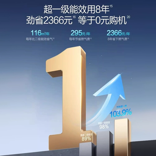 [Правительственные субсидии] Wanhe Beidou Water Services Первое энергетическое воздействие природного газа Конституция газ водонагреватель LME7