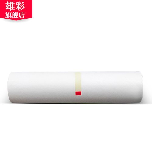 雄彩适用基士得耶G9版纸CP6402P CP6403C CP6403P版纸 CP6401 CP6402C速印机版纸 印刷机蜡纸 - 图0