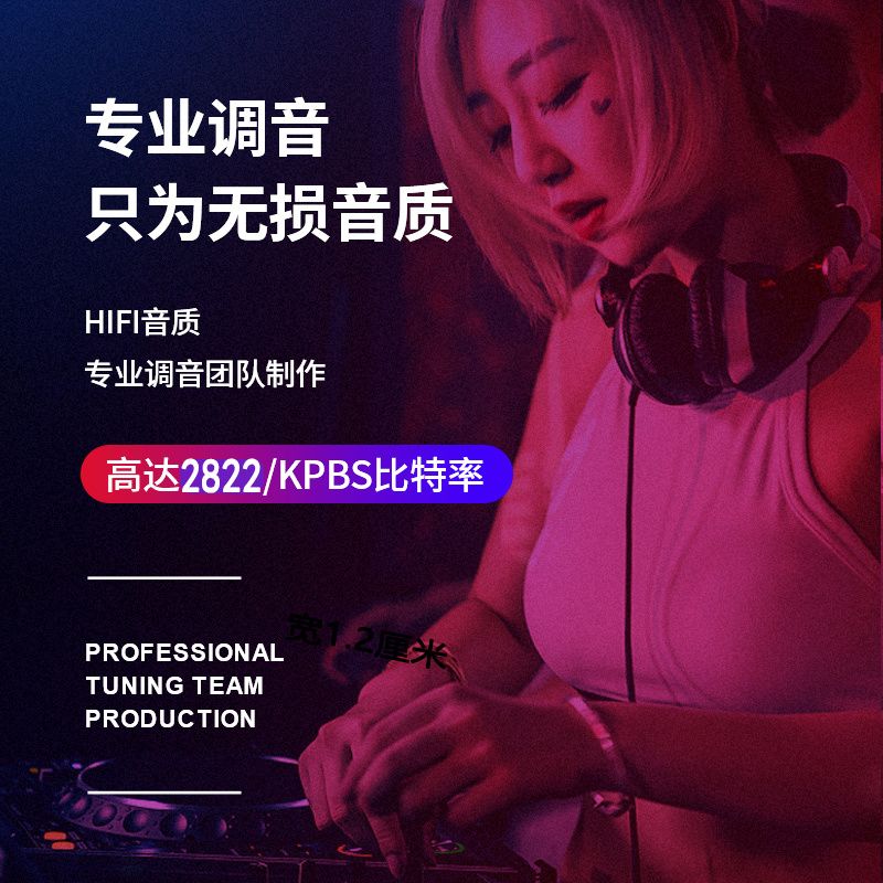 2024新款车载u盘音乐抖音流行歌曲酒吧DJ网红歌曲无损高音质U优盘 - 图1