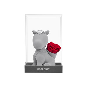 ROSEONLY诺誓玫瑰永生花礼盒送女友生日马年本命年节日礼物表白