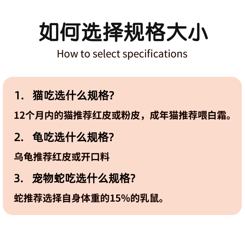 速冻冷冻大白鼠大白乳鼠蜥蜴实验无菌大白鼠爬宠饲料顺丰包邮-图2