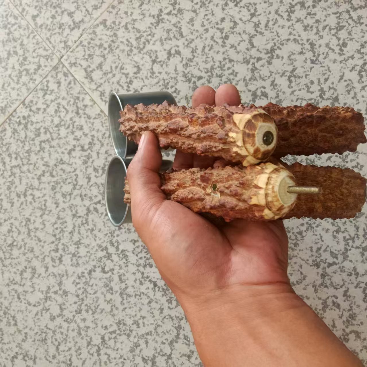 Parrot myna training stand