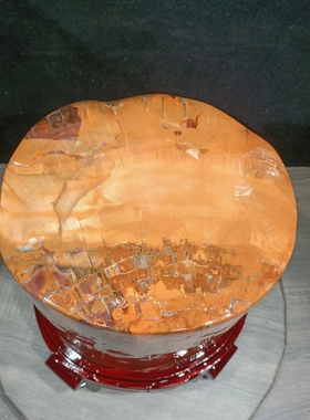 新疆树木化石天然原石招财聚财树化玉硅化木家居风水镇宅玄关摆件