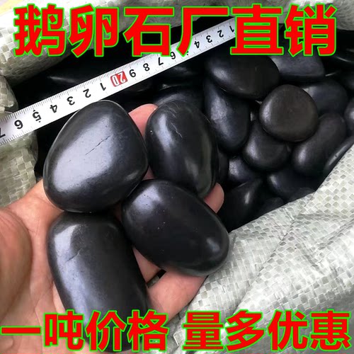 鹅卵石黑色雨花石小石子铺路大石头白色鹅软石鹅暖石庭院地园林石 - 图2