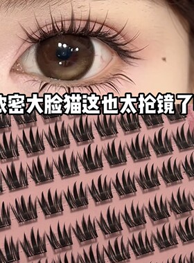 千野免胶免胶8排大脸猫小公主单簇分段式自然根根分明小恶魔