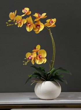 仿真蝴蝶兰花艺套装摆件