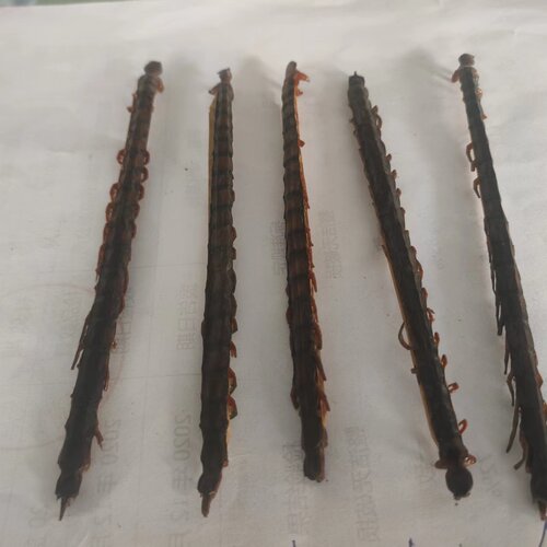 11cm公分蜈蚣干 蜈蚣皮 红头蜈蚣 蜈蚣 中药材足干 满百包邮 - 图1