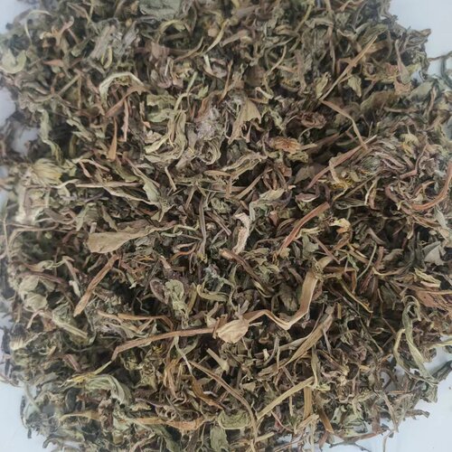 蒲公英 正品无硫干货野生 蒲公英草 蒲公草婆婆丁 中药材500g包邮 - 图0
