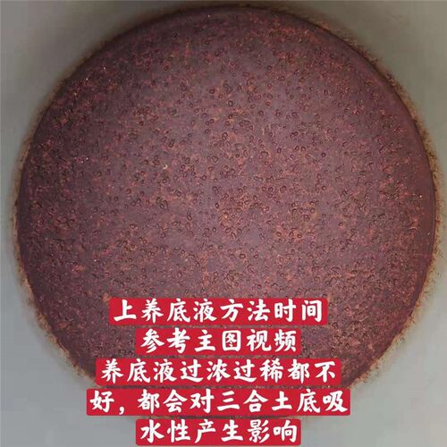 蟋蟀盆蛐蛐罐浆底液养底液儿茶液泥盆泥罐儿茶虫茶红茶熬制250ml - 图1