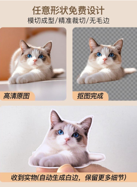 宝宝冰箱贴照片抠图磁吸定制打印宠物狗狗婚礼员工明星周边DIY